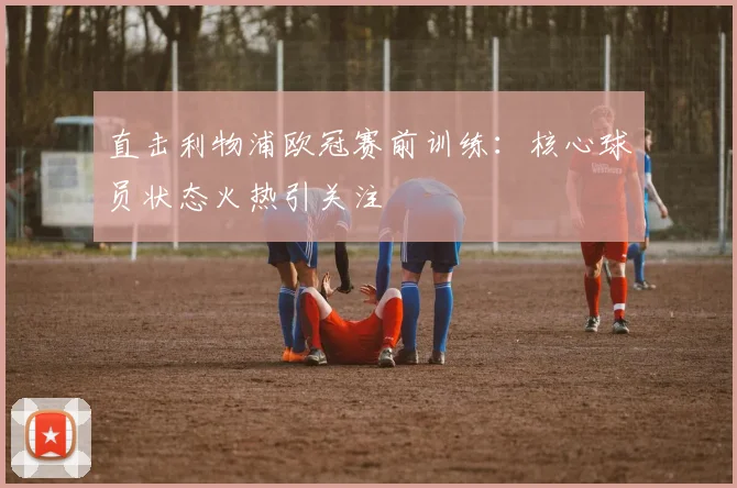 直击利物浦欧冠赛前训练：核心球员状态火热引关注