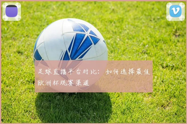 足球直播平台对比：如何选择最佳欧洲杯观赛渠道