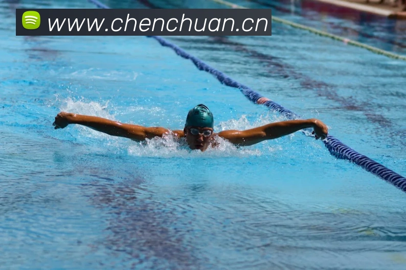 开云官方在线登陆入口APP 封面图